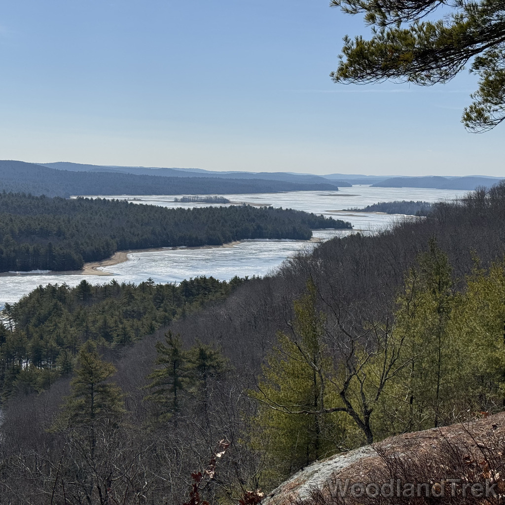 2026-03-20_111148_00