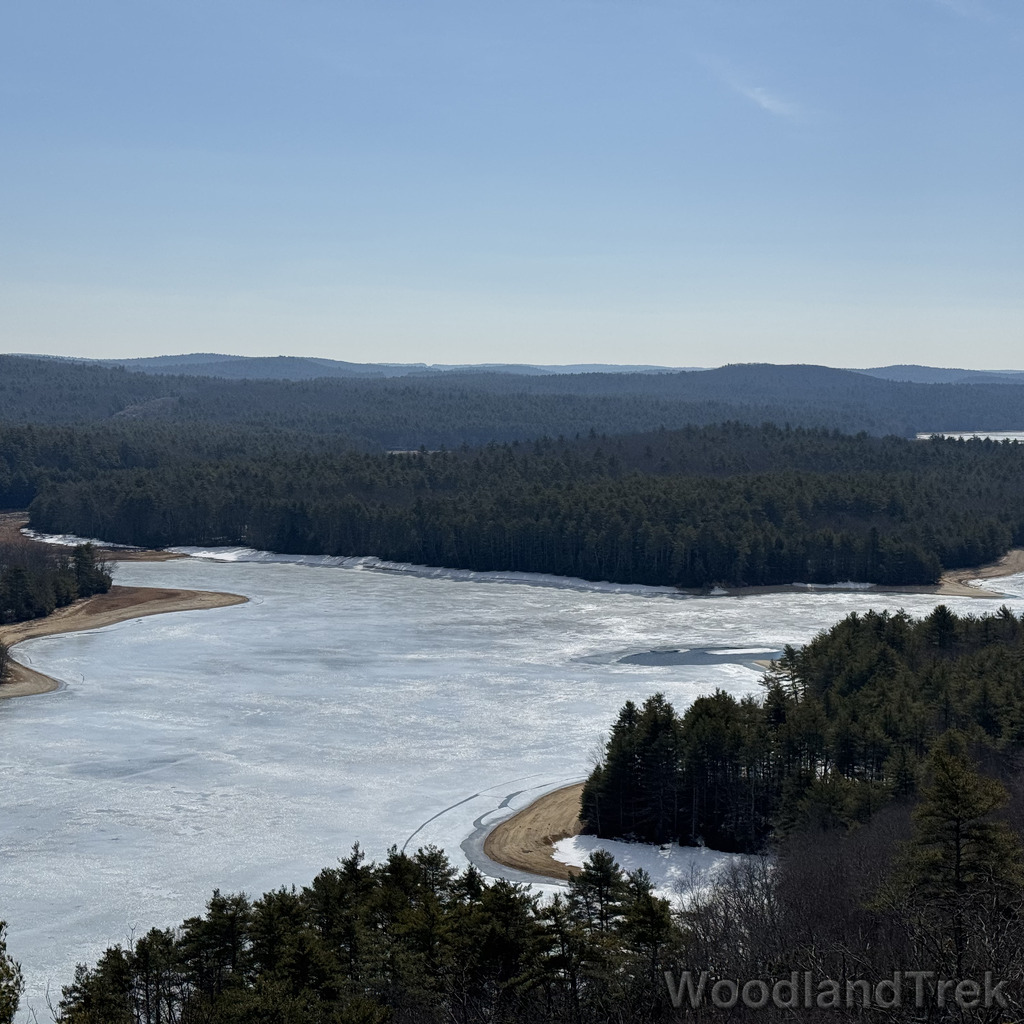 2026-03-20_111151_00