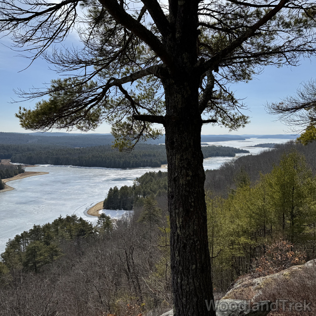 2026-03-20_111227_00