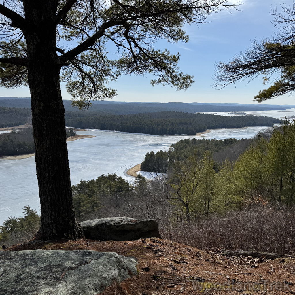 2026-03-20_111331_00