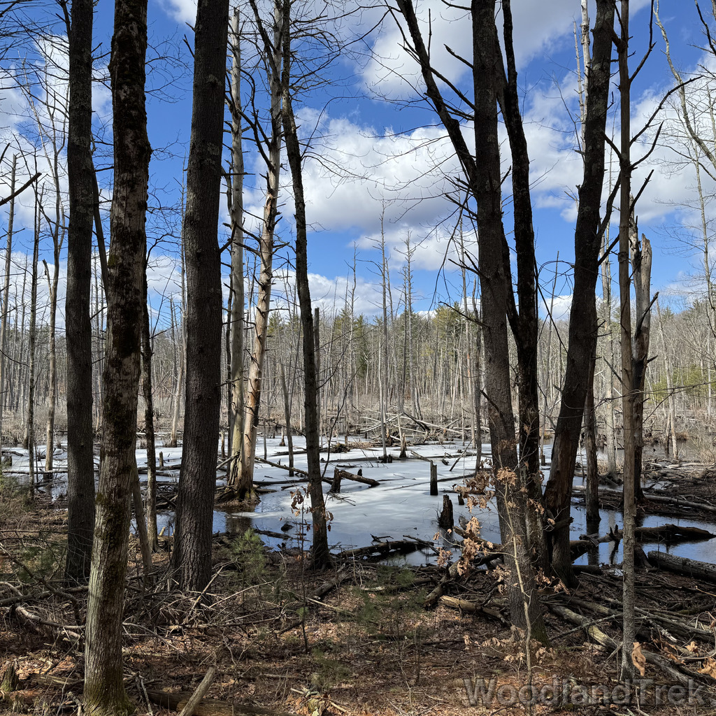 2026-03-24_122707_00