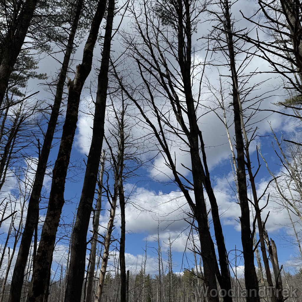 2026-03-24_122709_00