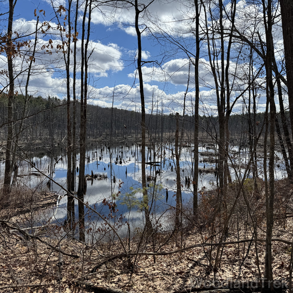 2026-03-24_124208_00