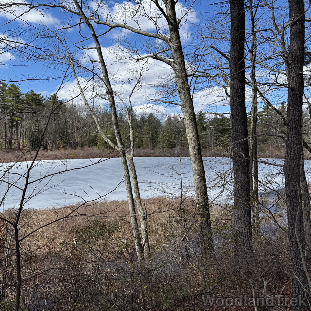 2026-03-24_124621_00