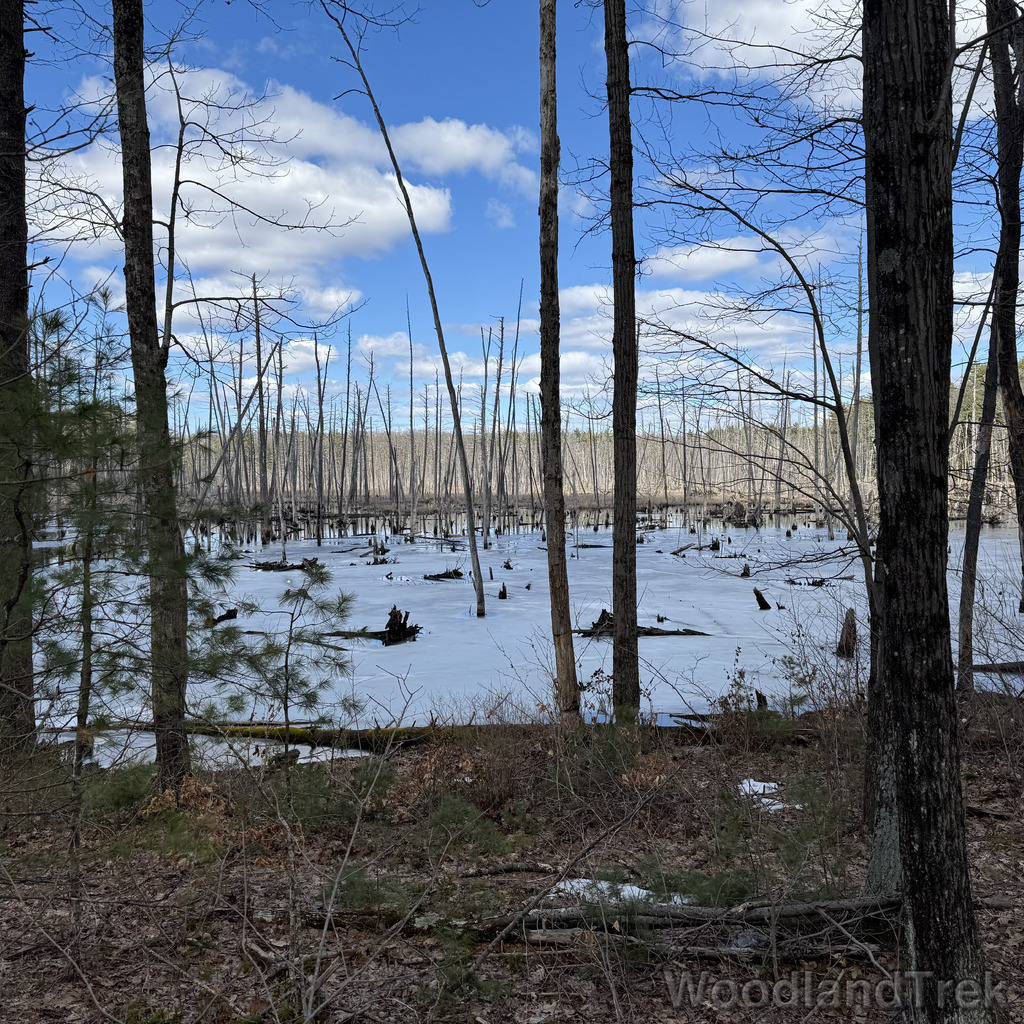 2026-03-24_130131_00