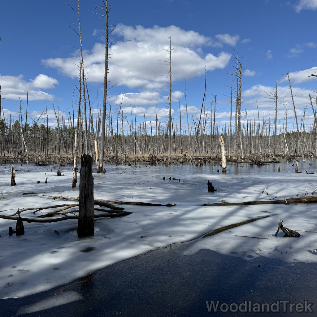 2026-03-24_130256_00