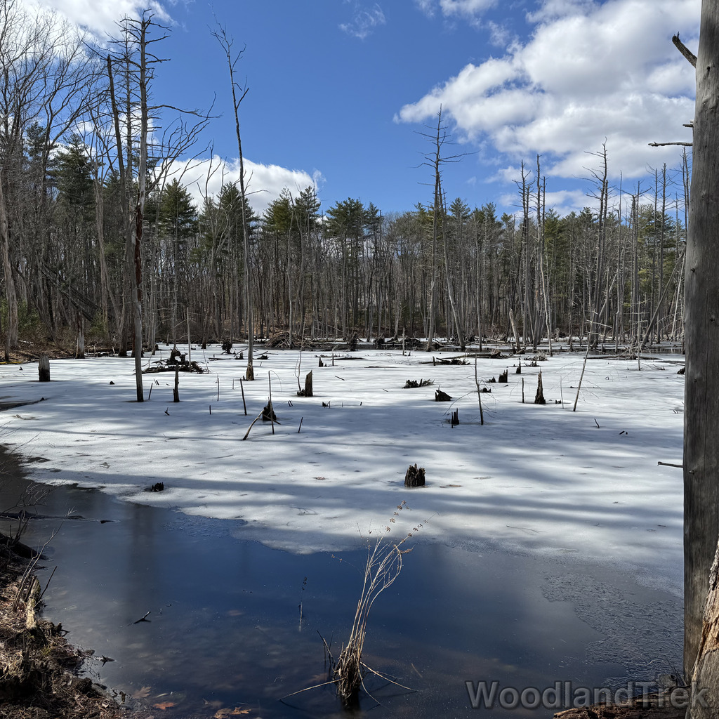 2026-03-24_130302_00