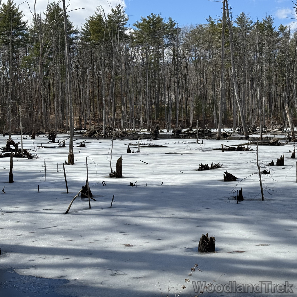 2026-03-24_130306_00