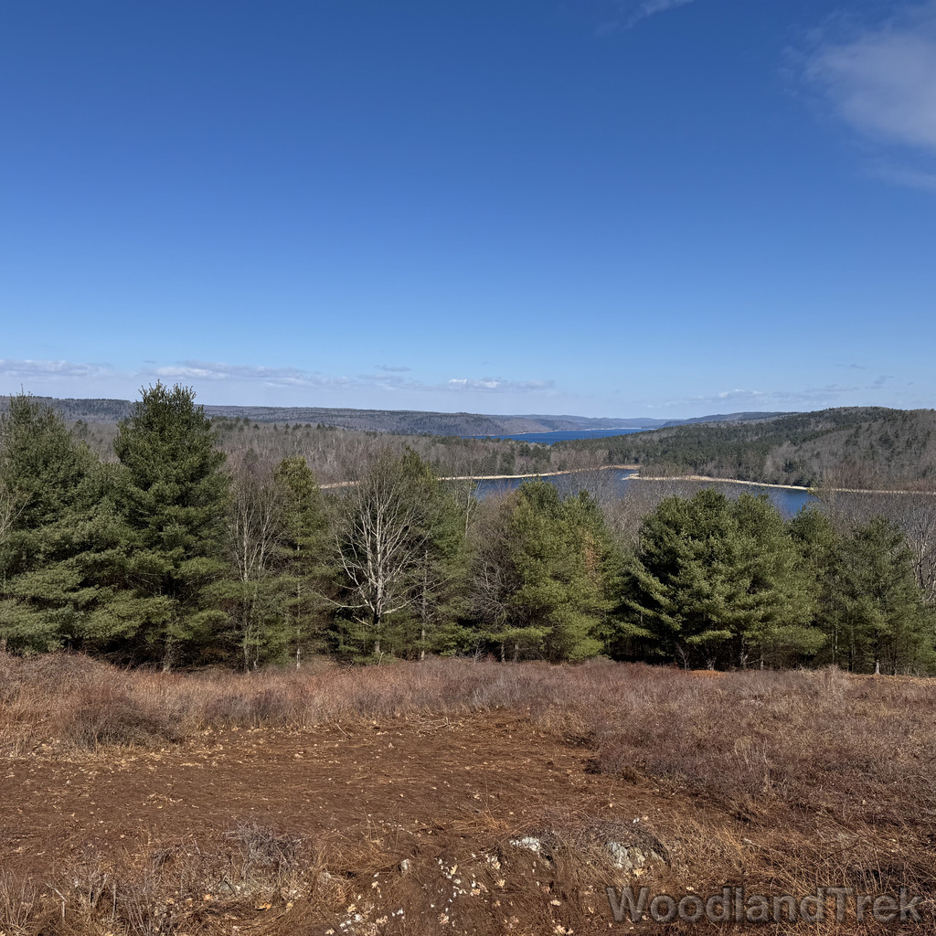 2026-03-28_104141_00