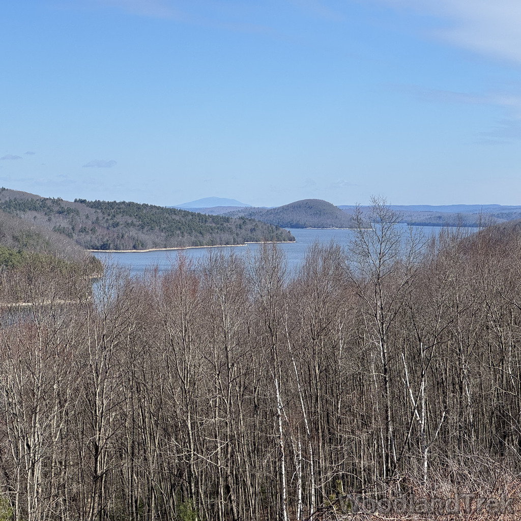 2026-03-28_104209_00