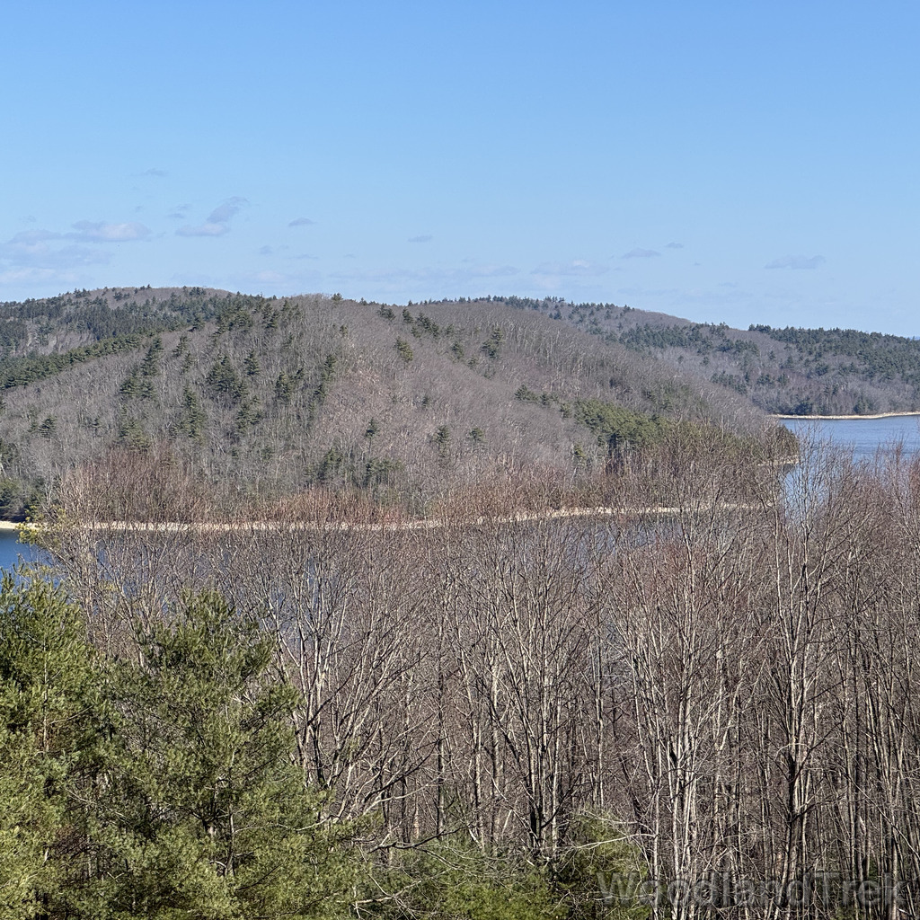 2026-03-28_104213_00