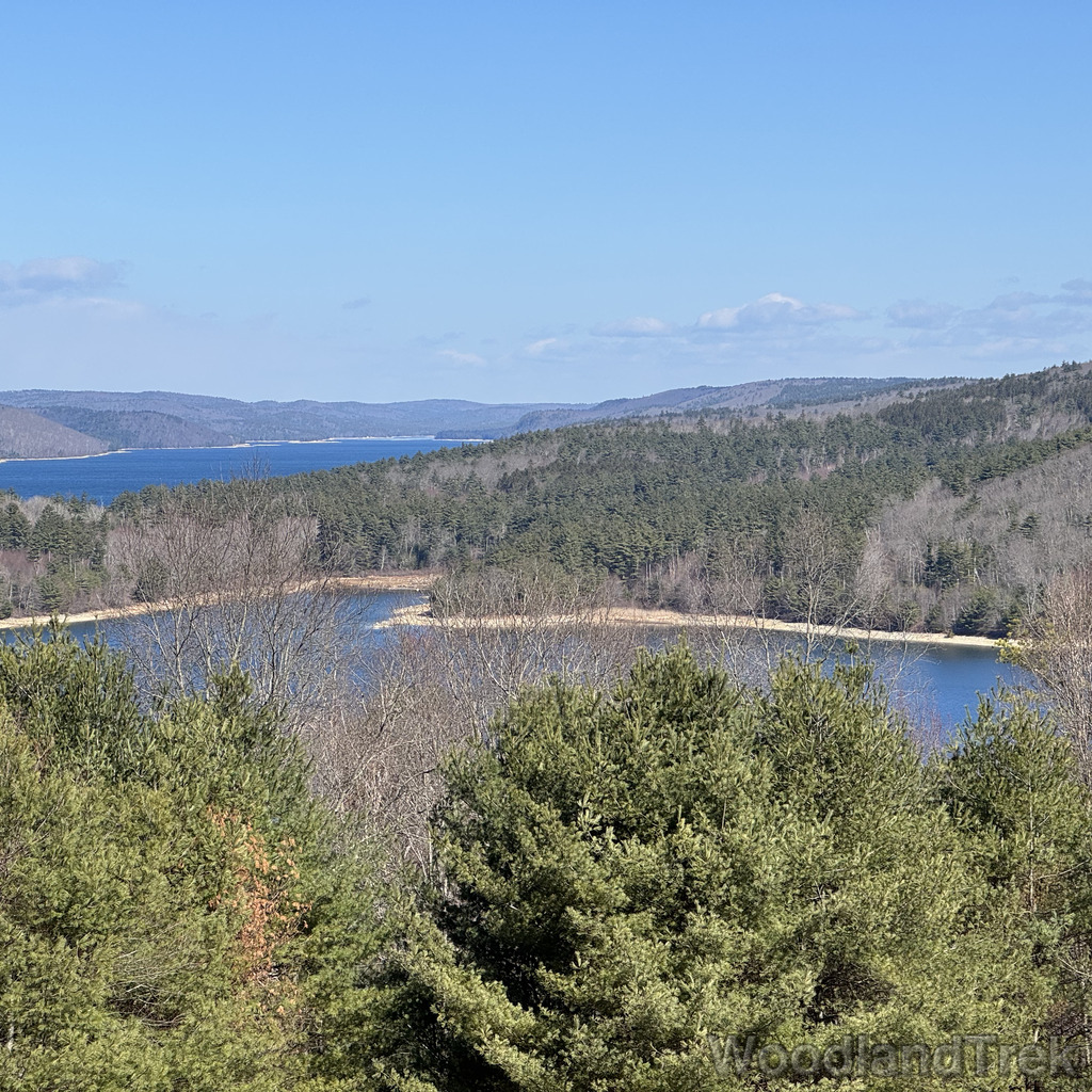 2026-03-28_104217_00