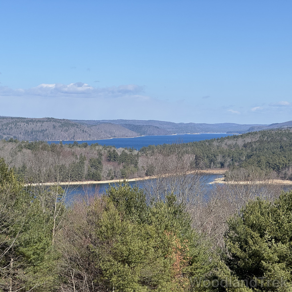 2026-03-28_104222_00