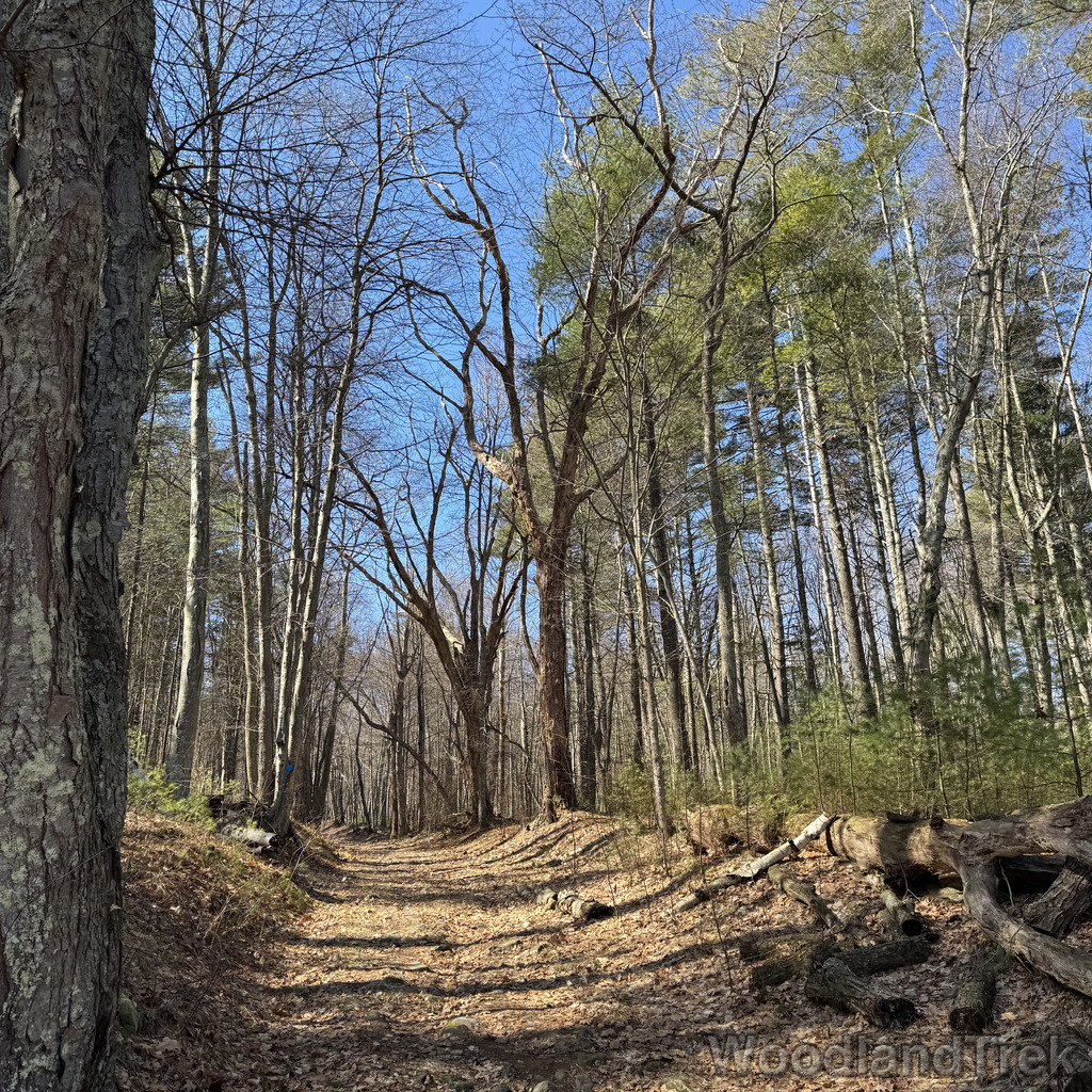 2026-03-28_110056_00