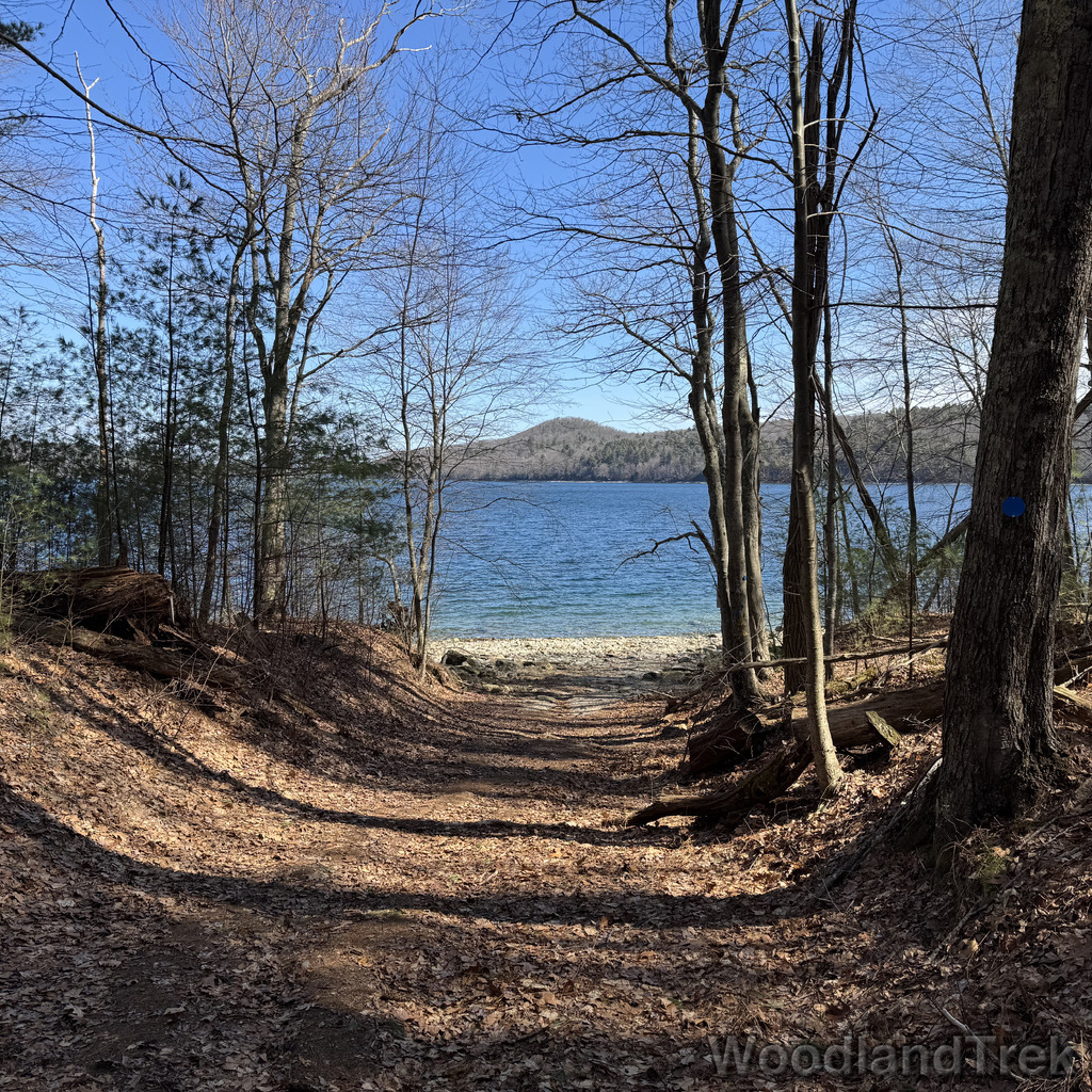 2026-03-28_110108_00