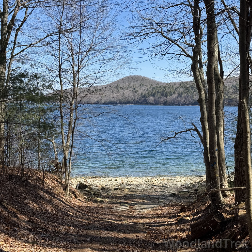 2026-03-28_110110_00