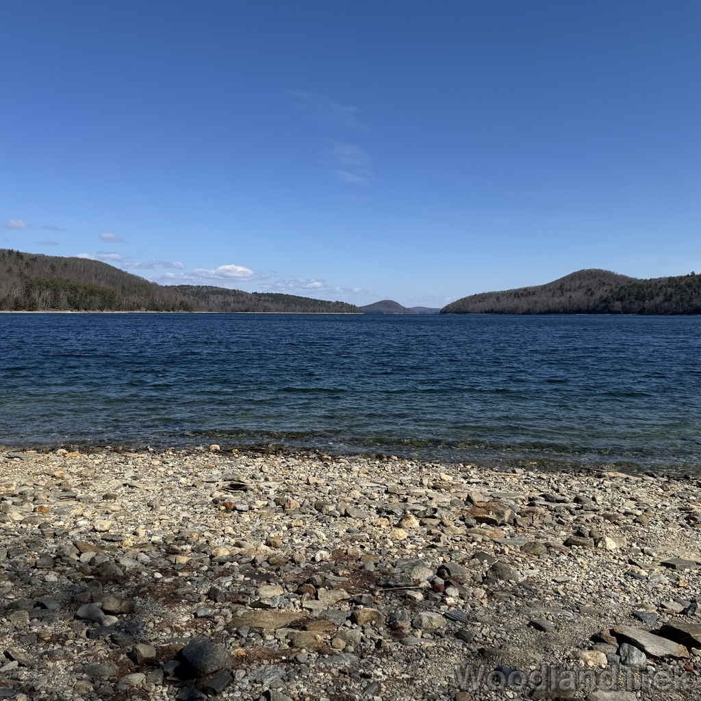 2026-03-28_110233_00-LVL