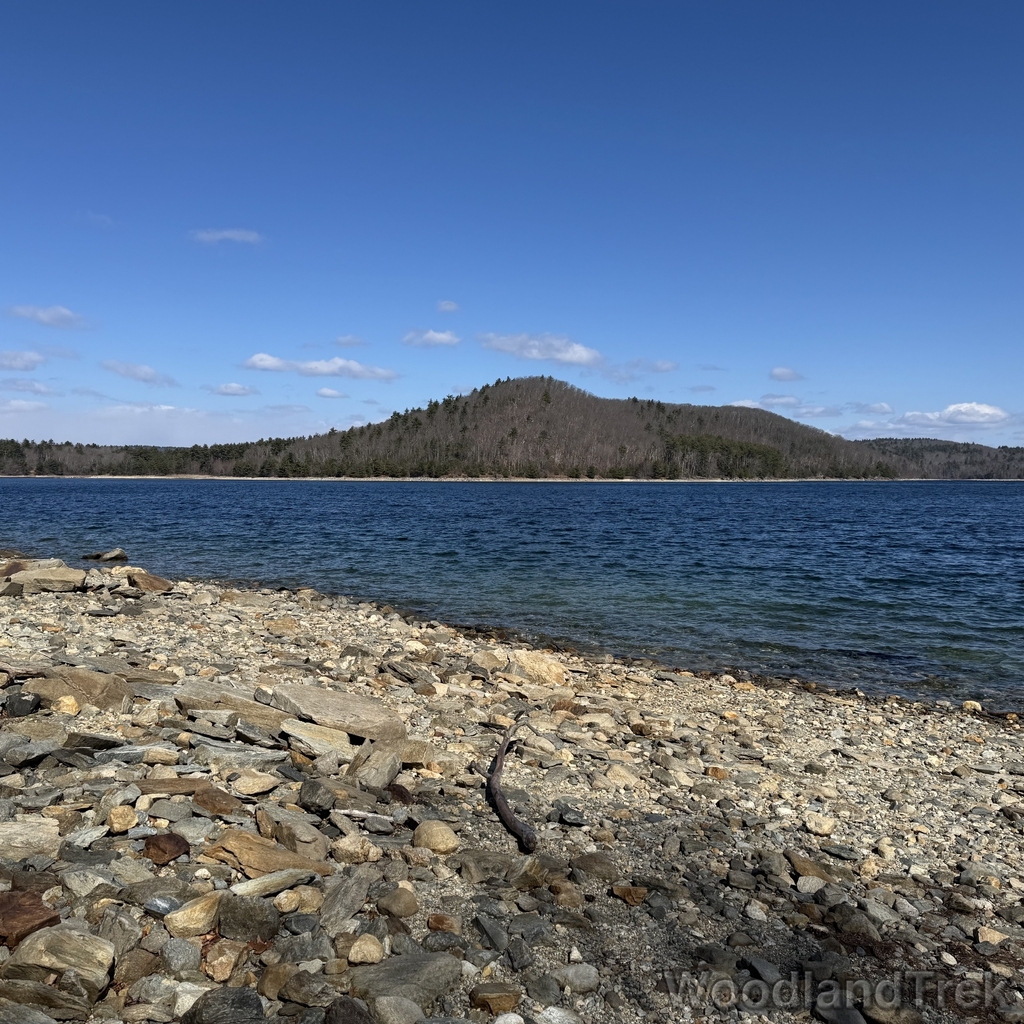 2026-03-28_110253_00-LVL