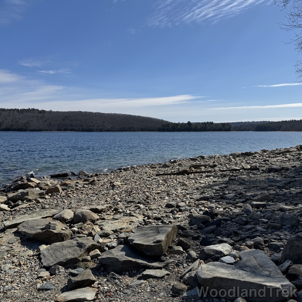 2026-03-28_110310_00-LVL