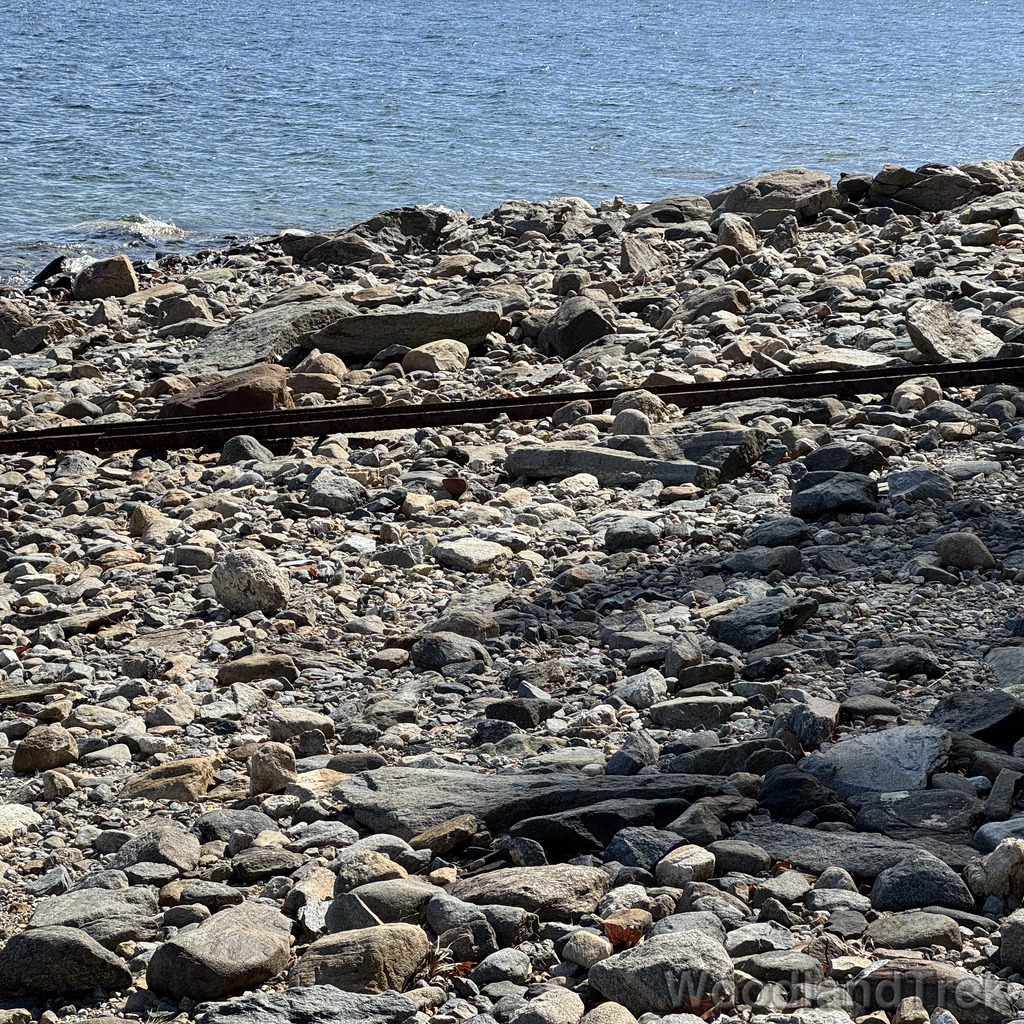 2026-03-28_110358_00