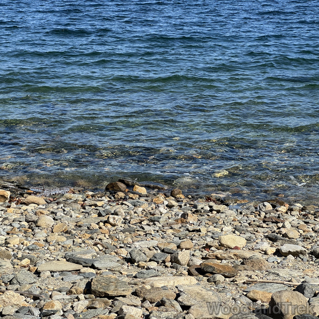 2026-03-28_110408_00