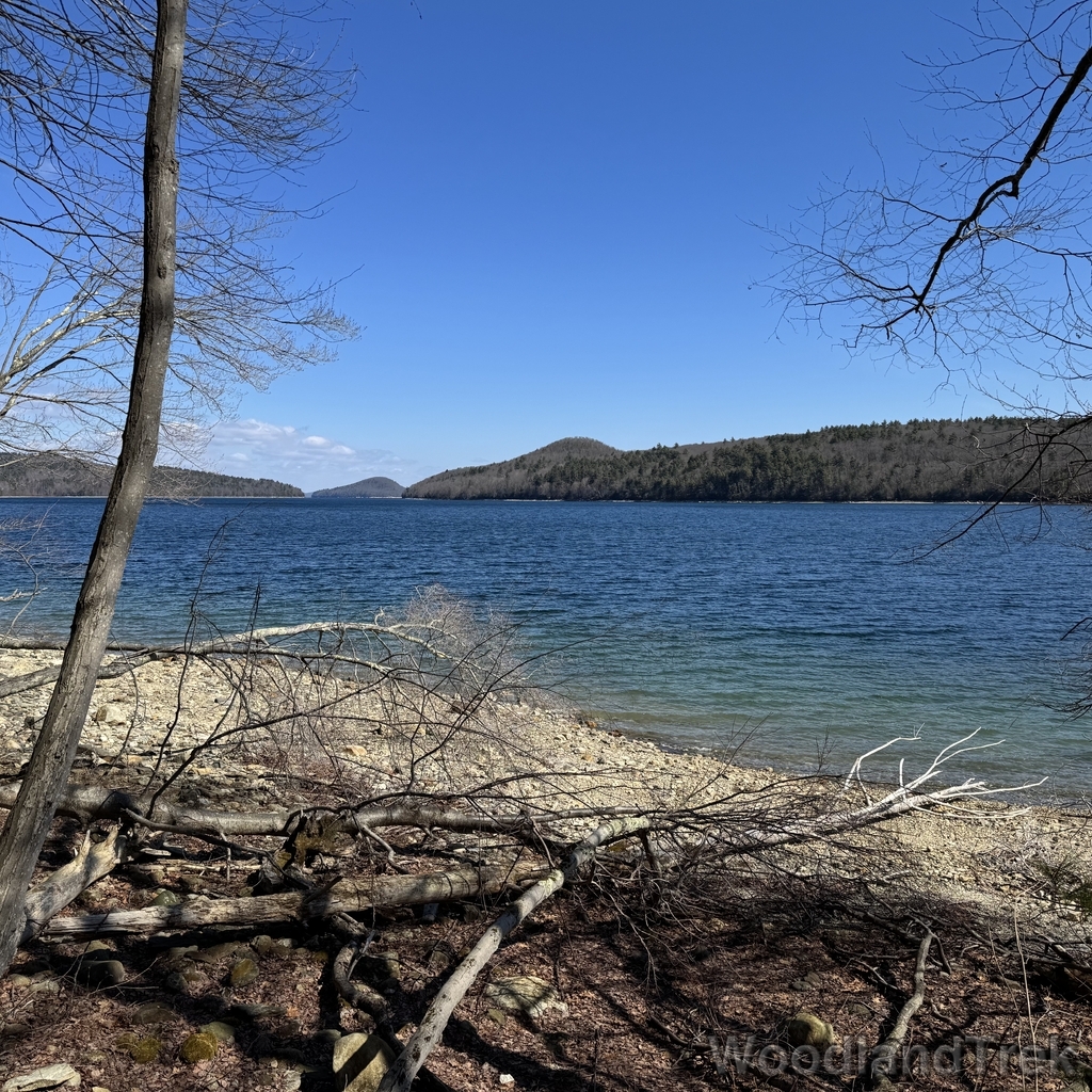 2026-03-28_111145_00-LVL