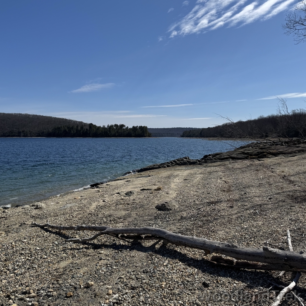 2026-03-28_111520_00-LVL