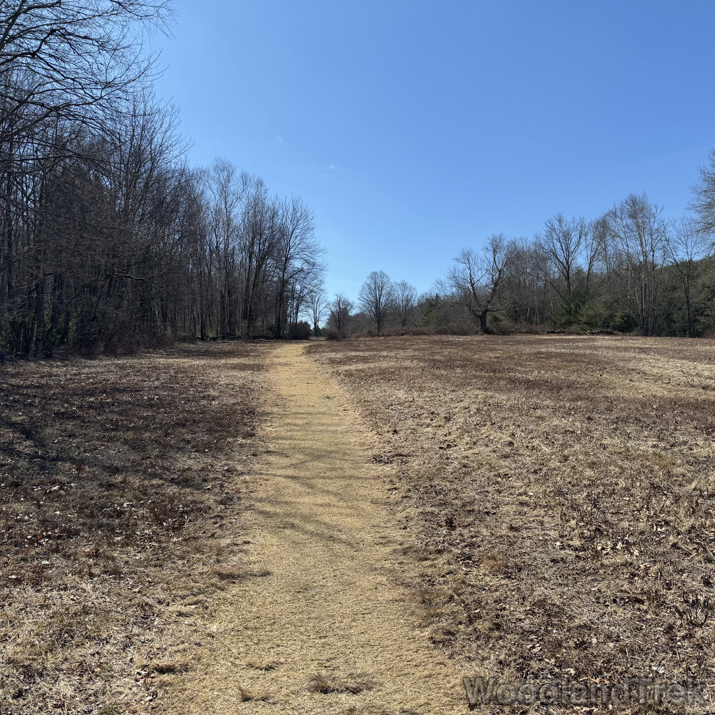 2026-03-28_113127_00