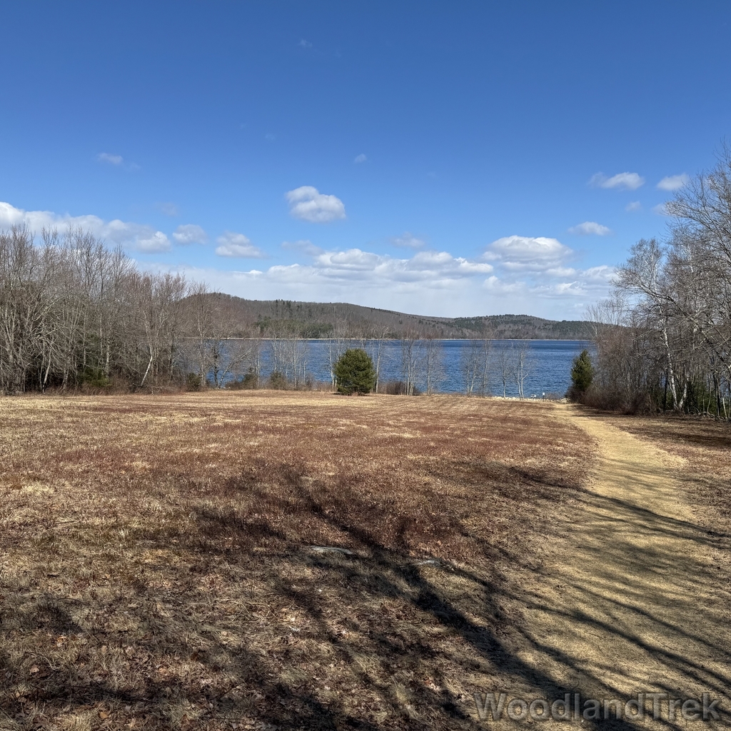 2026-03-28_113251_00-LVL