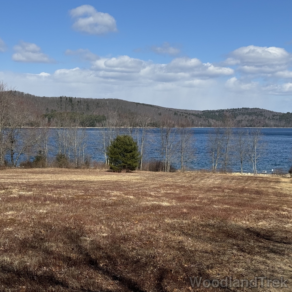 2026-03-28_113256_00-LVL