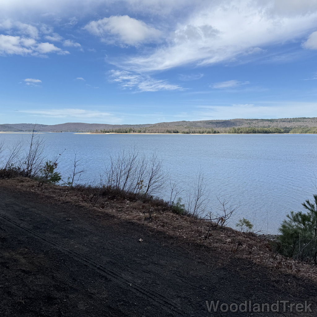 2026-04-04_101042_00