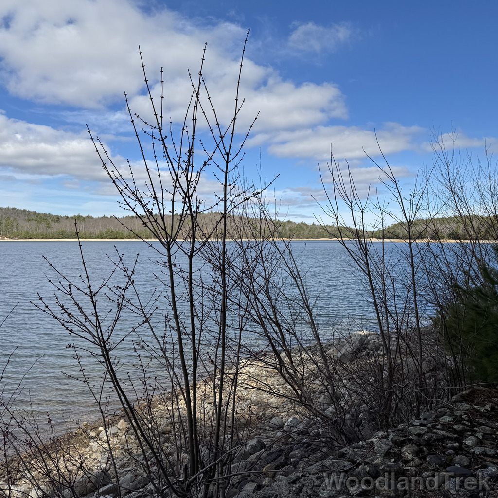 2026-04-04_101345_00