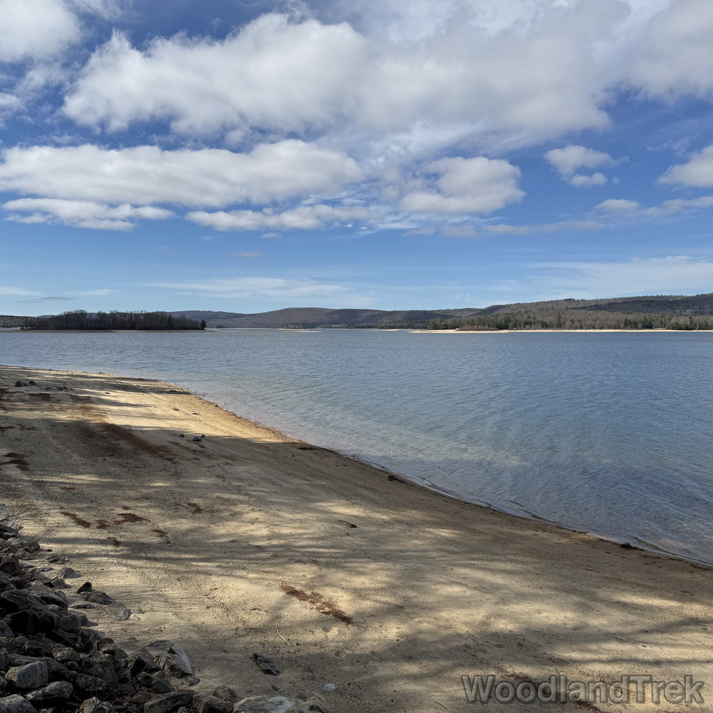 2026-04-04_101524_00