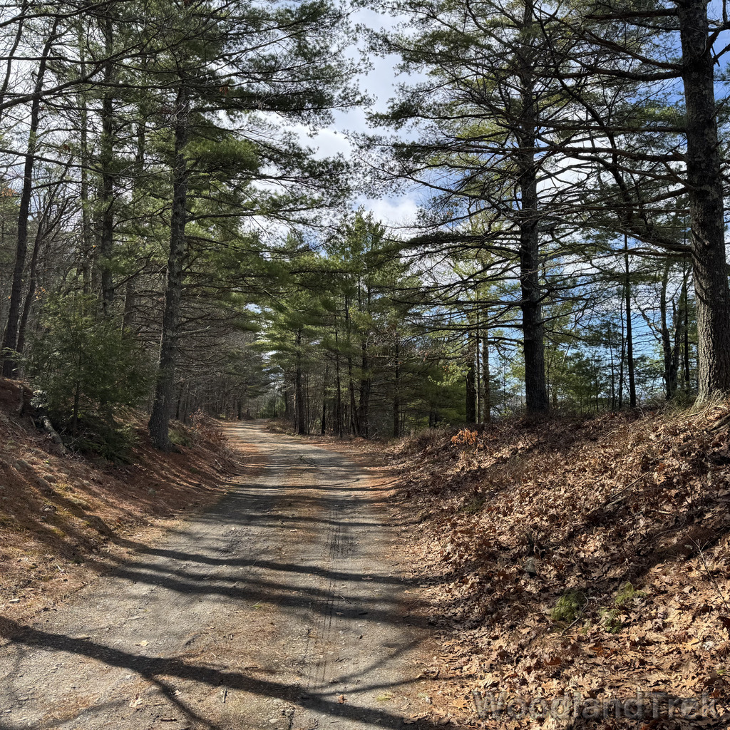 2026-04-04_101657_00