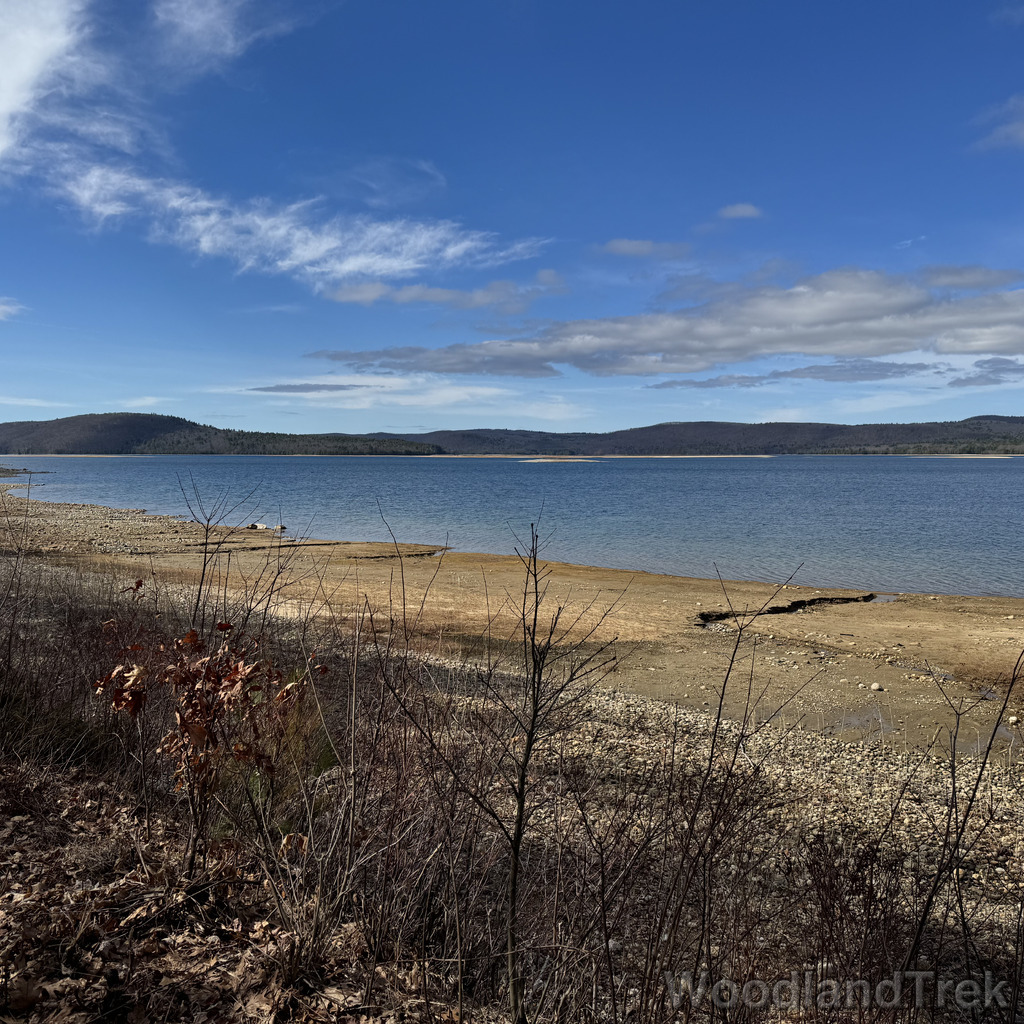 2026-04-04_102944_00