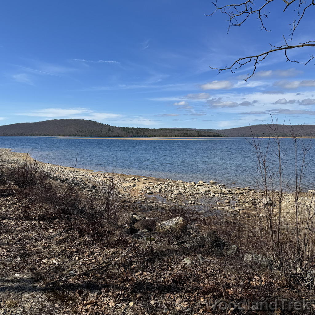 2026-04-04_104501_00