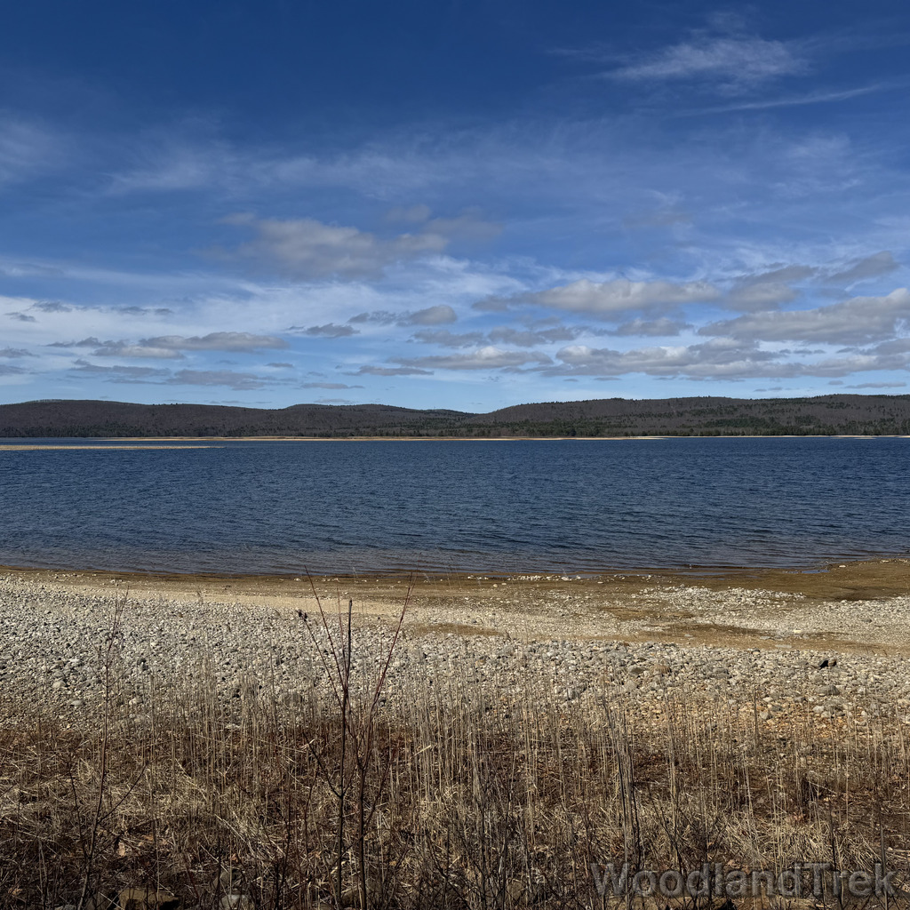 2026-04-04_104759_00