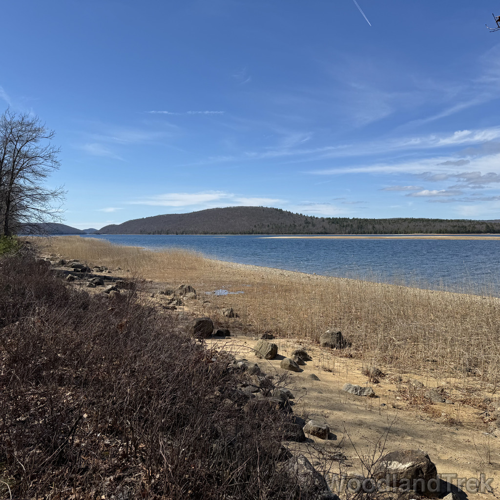 2026-04-04_104916_00