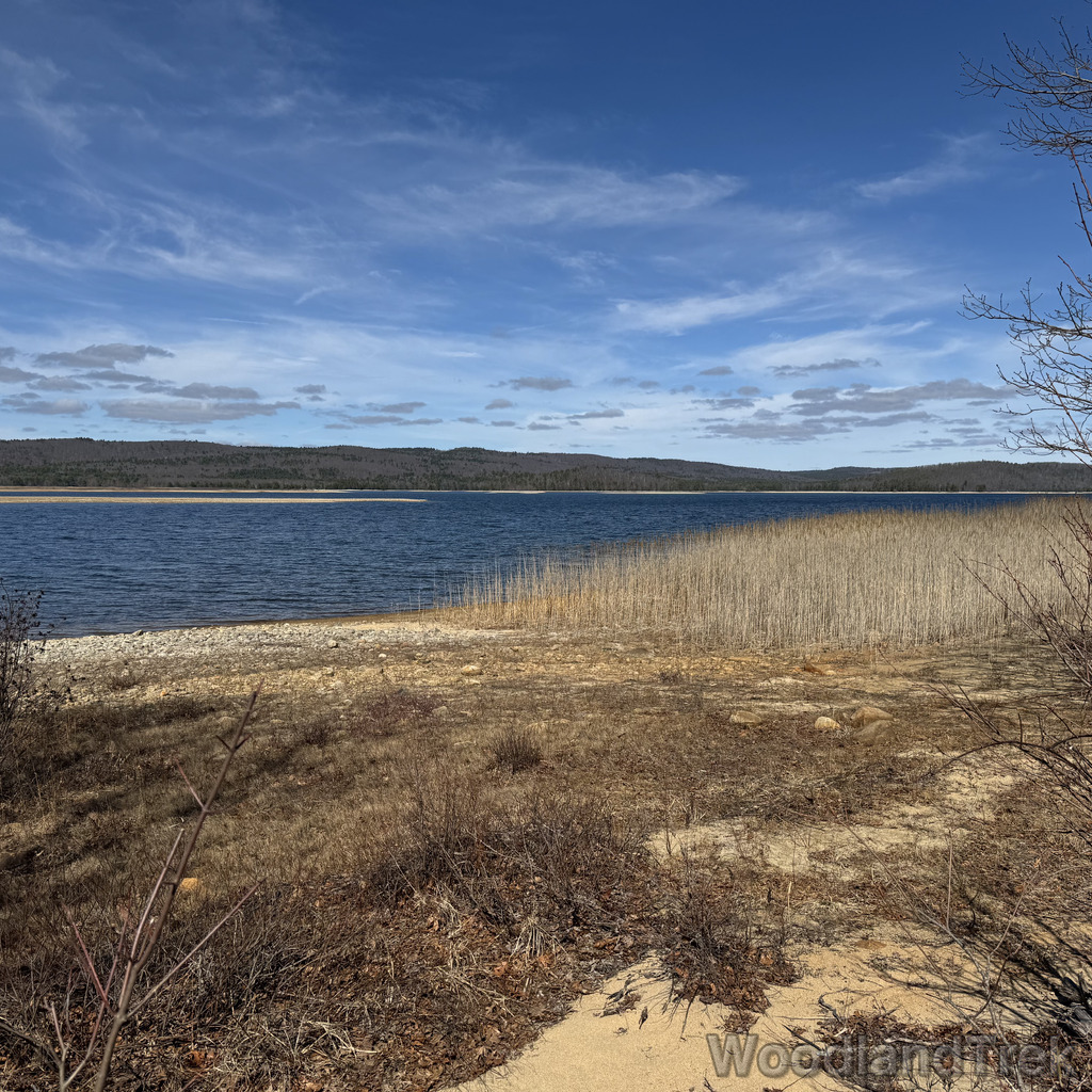 2026-04-04_105335_00