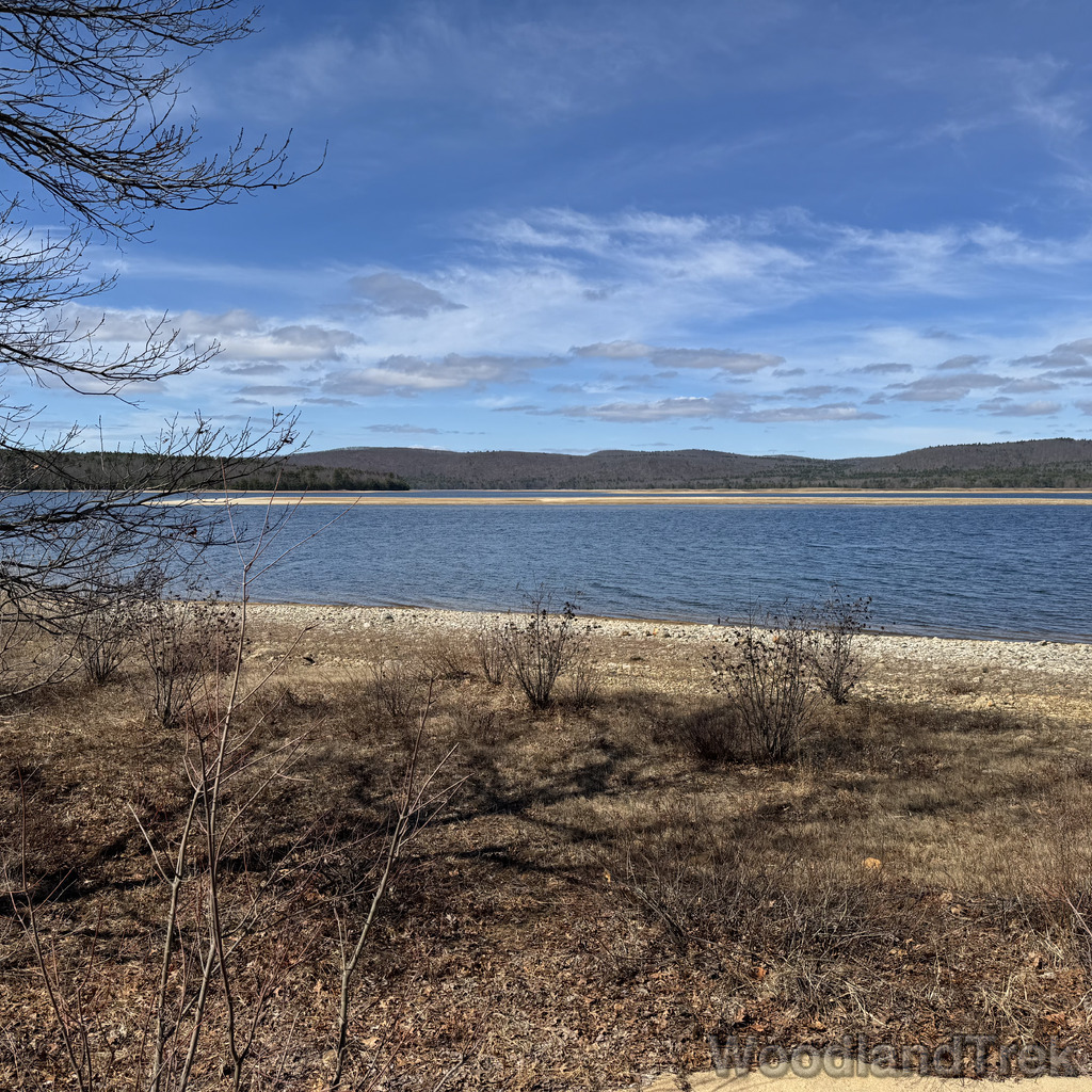 2026-04-04_105356_00