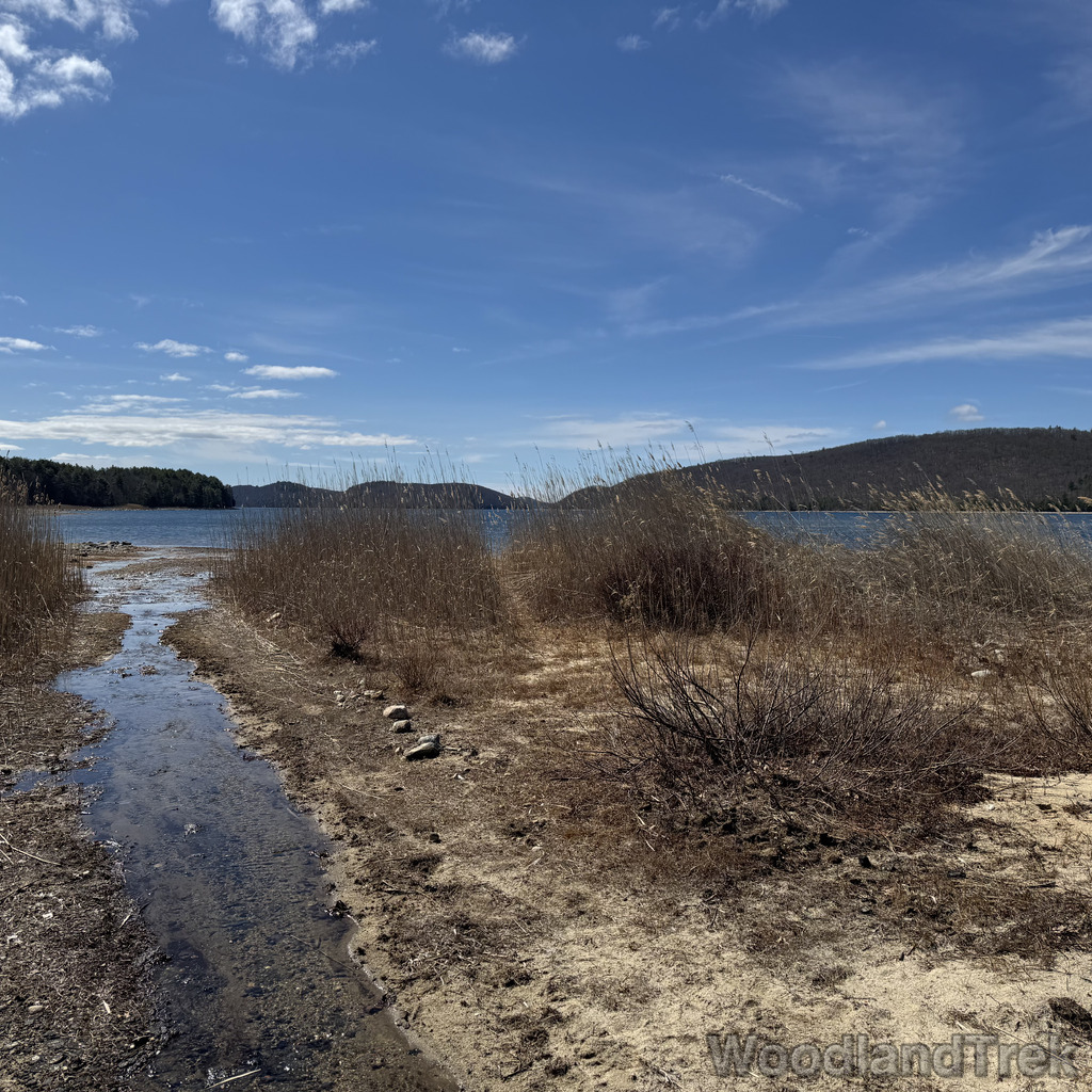 2026-04-04_105901_00