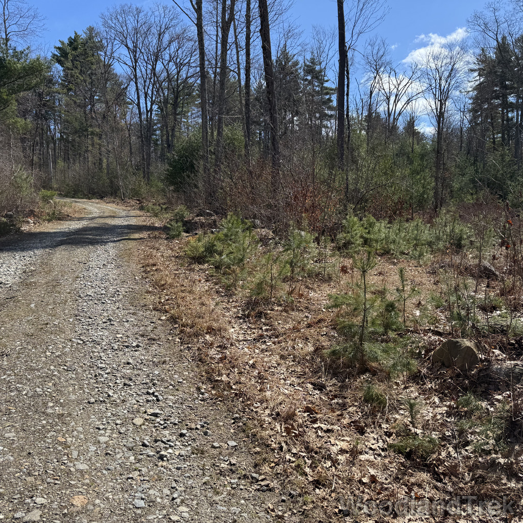 2026-04-04_111328_00