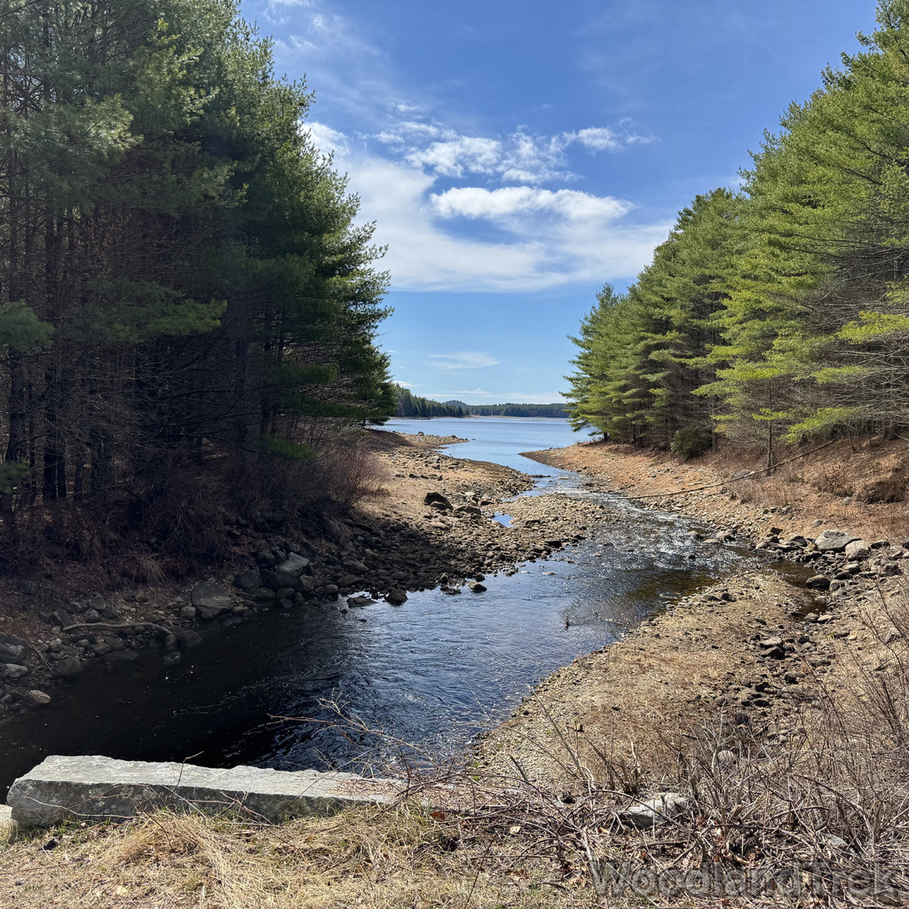 2026-04-04_114433_00