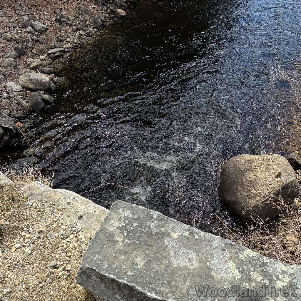 2026-04-04_114456_00