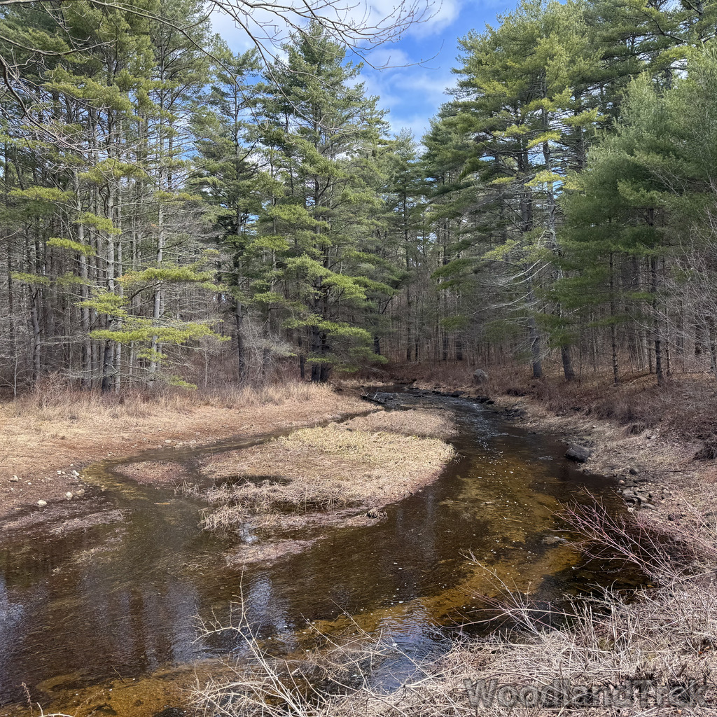 2026-04-04_114526_00