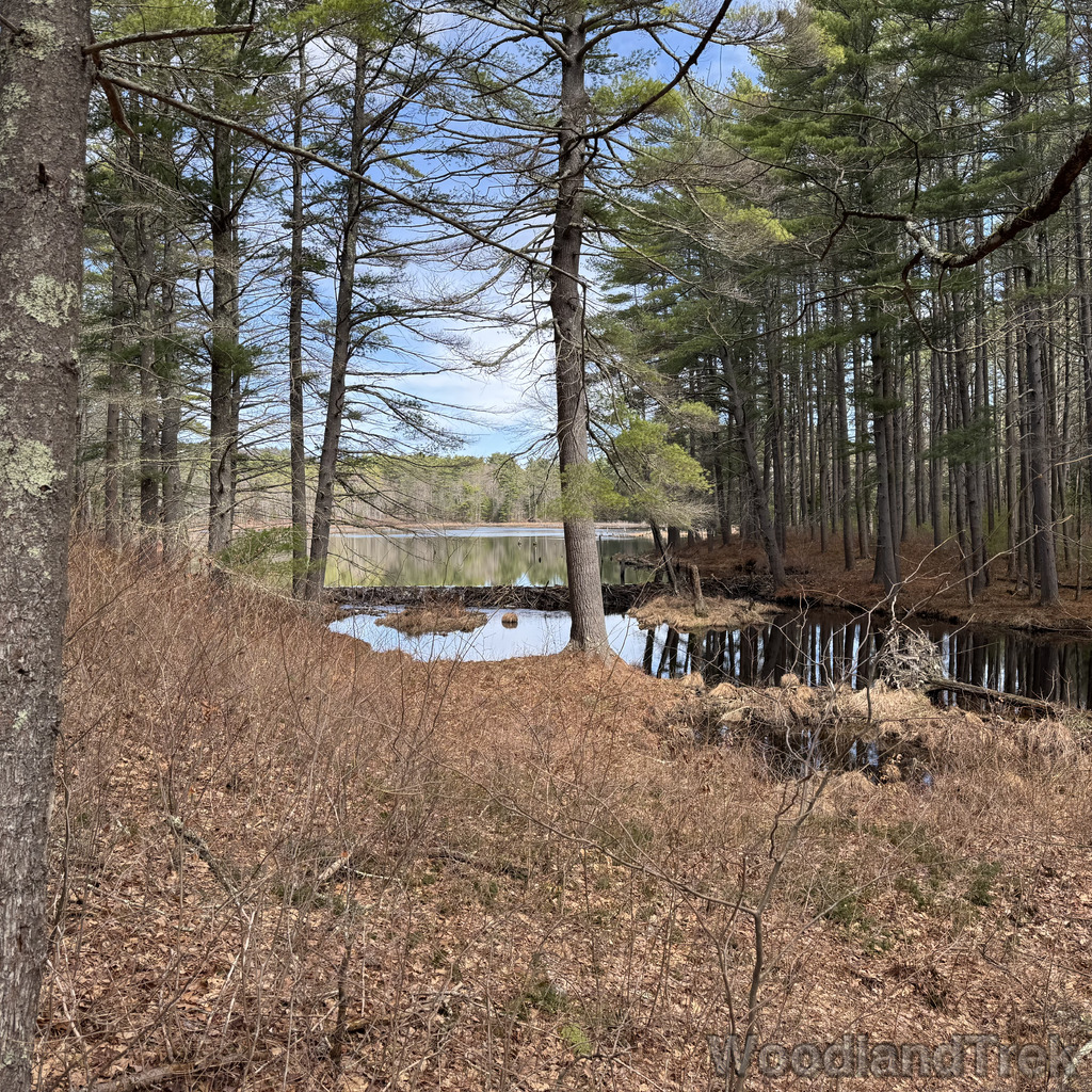 2026-04-04_114806_00