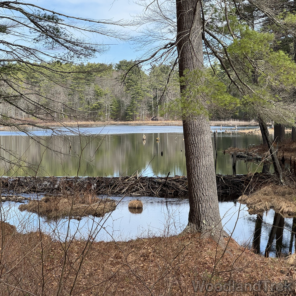 2026-04-04_114818_00