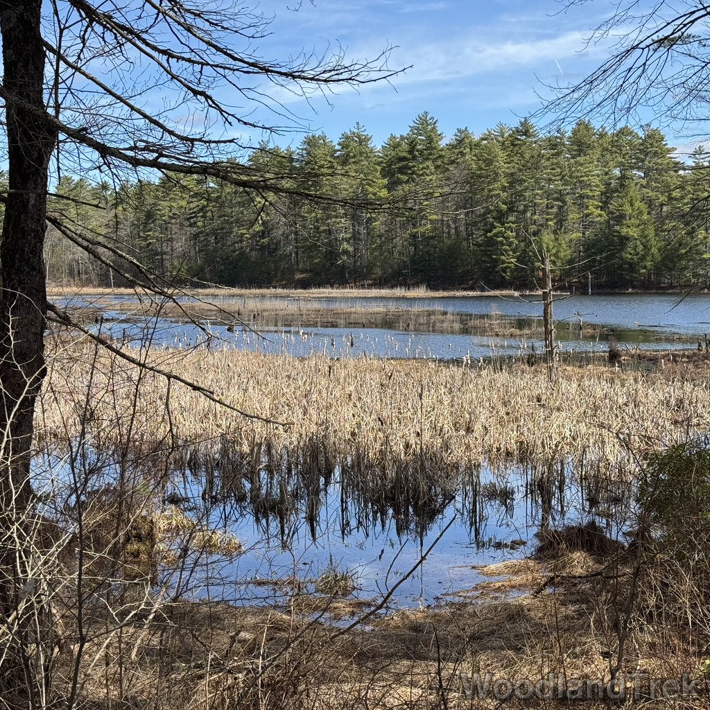 2026-04-04_115128_00