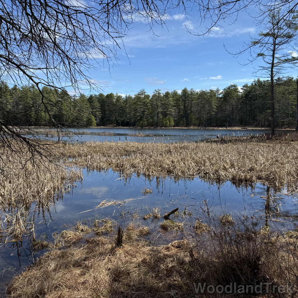 2026-04-04_115218_00