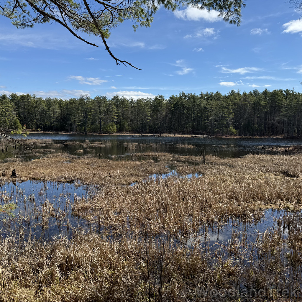 2026-04-04_115337_00